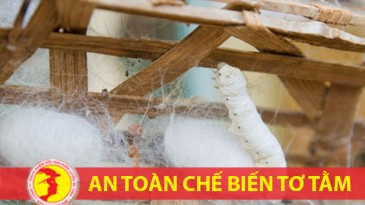 Huấn luyện an toàn cho người làm các công việc chế biến tơ tằm - nhóm 3