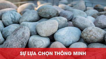 Sự chọn lựa thông minh