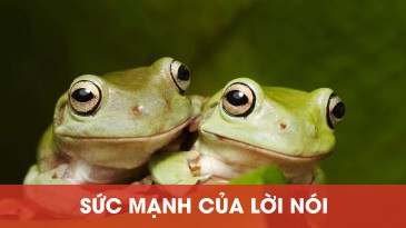 Bài học hai chú ếch và sức mạnh của lời nói