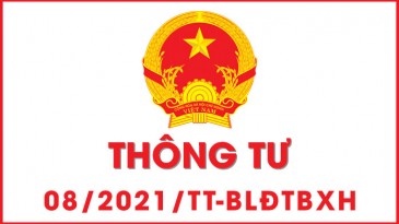 Thông tư 08/2021/TT-BLĐTBXH Quy định kỹ thuật đường ống kim loại dẫn khí nén, khí lỏng, khí hòa tan